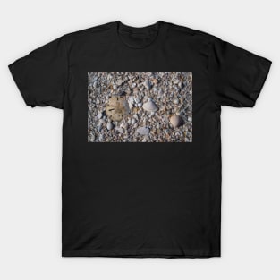 Sanibel Beach T-Shirt